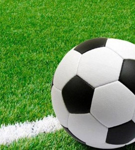 Cricket / Multi Sports Turf Dealers in Chennai